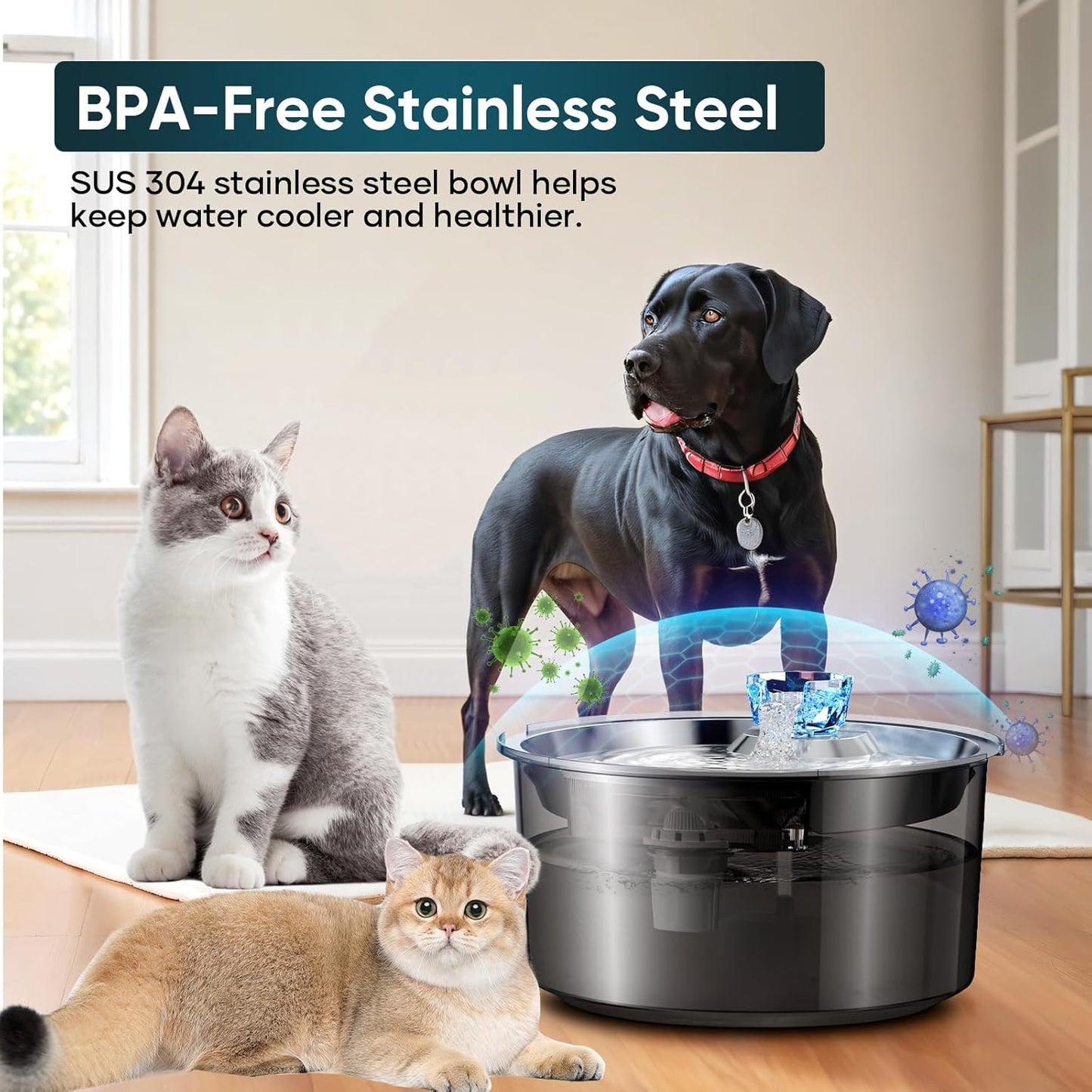 2.6Gal/10L Dog Water Fountain for Dogs & Cats & Multiple Pets-3