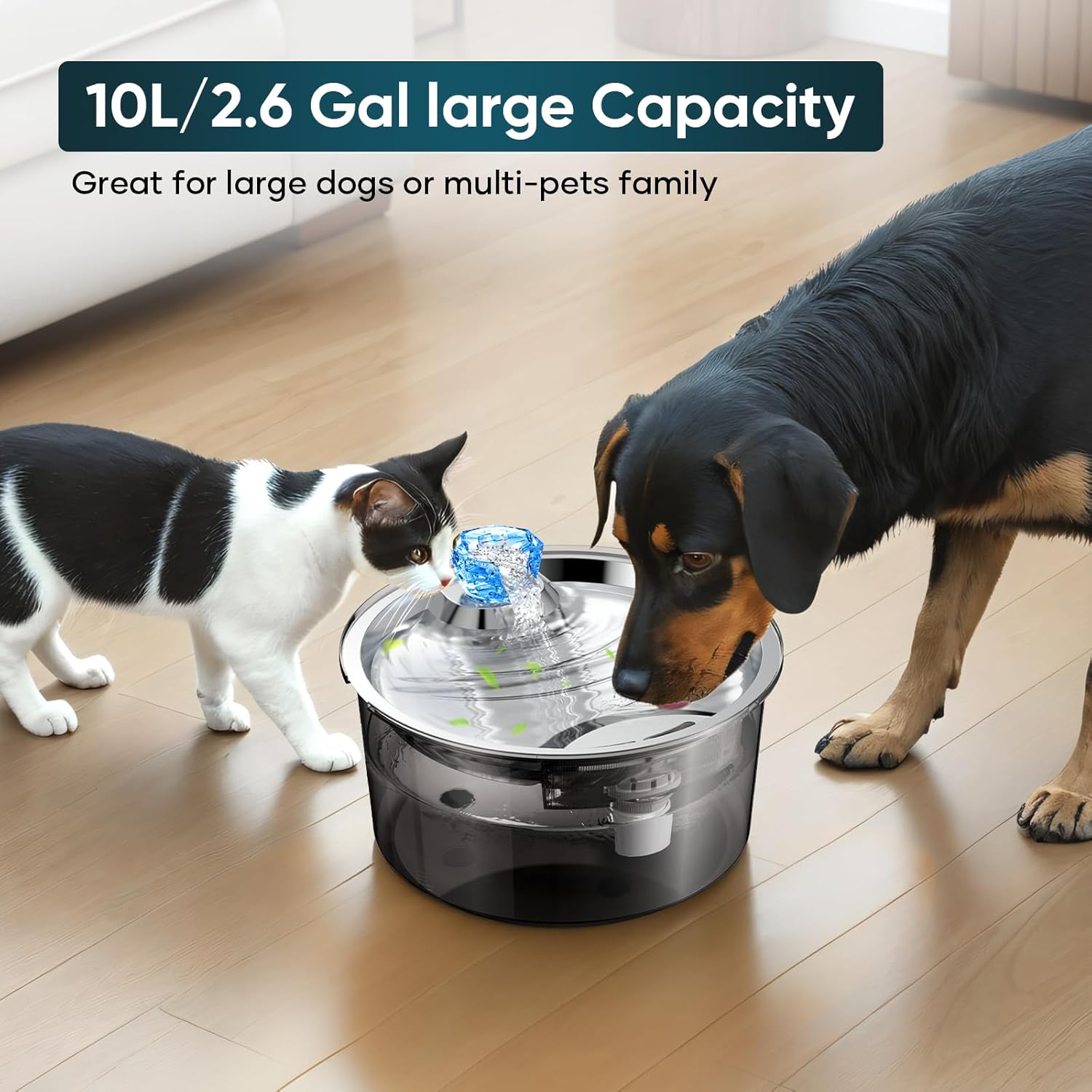 2.6Gal/10L Dog Water Fountain for Dogs & Cats & Multiple Pets-2