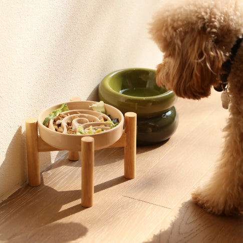 Snack Studio