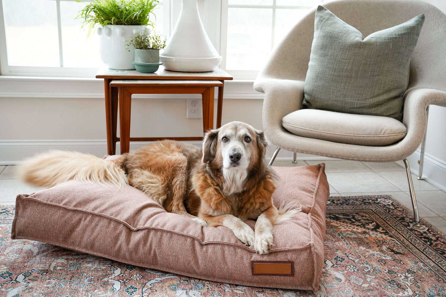 Dog Beds & Home Goods